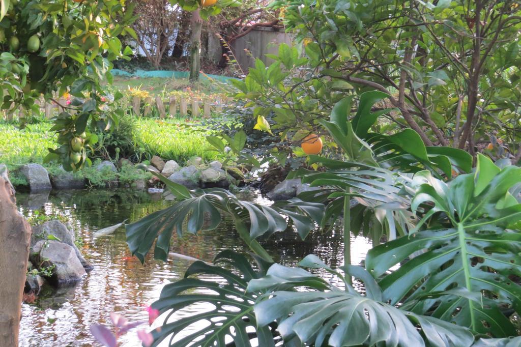 Sweet Home Braga Hostel & Guest House Ngoại thất bức ảnh